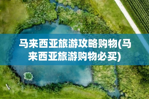 马来西亚旅游攻略购物(马来西亚旅游购物必买)