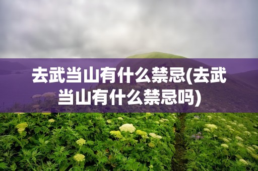 去武当山有什么禁忌(去武当山有什么禁忌吗)