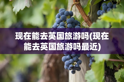 现在能去英国旅游吗(现在能去英国旅游吗最近)