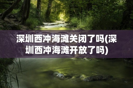深圳西冲海滩关闭了吗(深圳西冲海滩开放了吗)