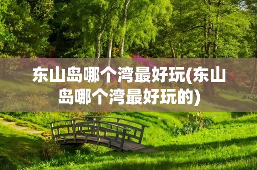 东山岛哪个湾最好玩(东山岛哪个湾最好玩的)