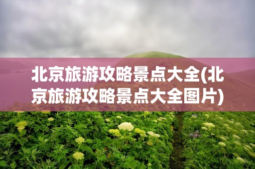 北京旅游攻略景点大全(北京旅游攻略景点大全图片)
