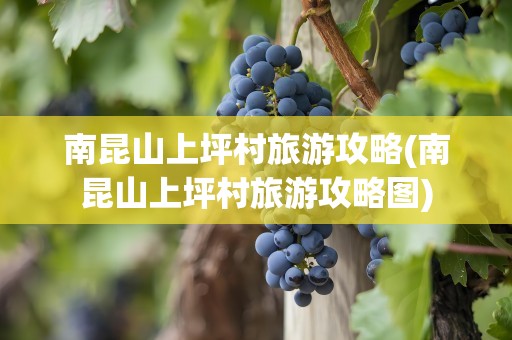南昆山上坪村旅游攻略(南昆山上坪村旅游攻略图)