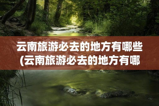 云南旅游必去的地方有哪些(云南旅游必去的地方有哪些景点)