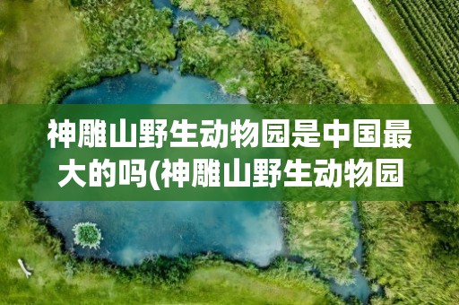 神雕山野生动物园是中国最大的吗(神雕山野生动物园是中国最大的吗英语)