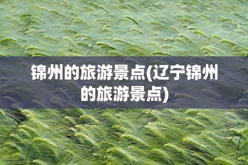 锦州的旅游景点(辽宁锦州的旅游景点)