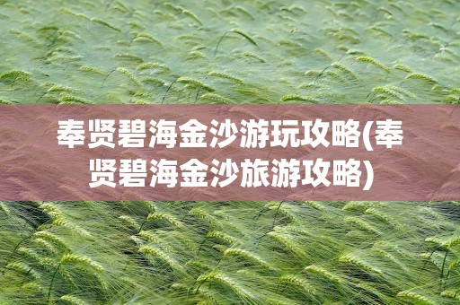 奉贤碧海金沙游玩攻略(奉贤碧海金沙旅游攻略)