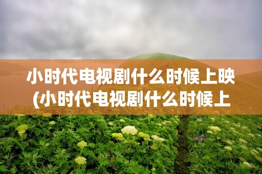 小时代电视剧什么时候上映(小时代电视剧什么时候上映的)