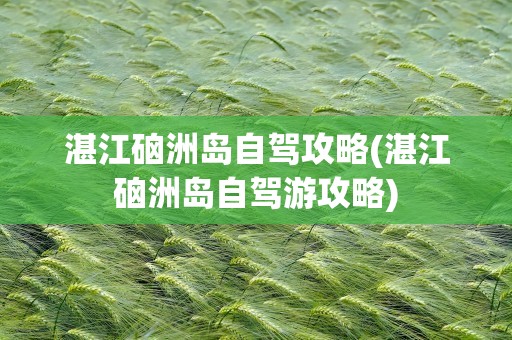 湛江硇洲岛自驾攻略(湛江硇洲岛自驾游攻略)