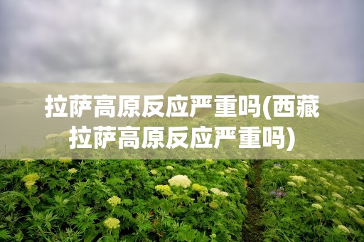 拉萨高原反应严重吗(西藏拉萨高原反应严重吗)