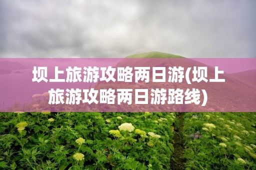 坝上旅游攻略两日游(坝上旅游攻略两日游路线)