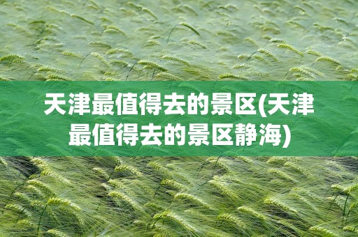 天津最值得去的景区(天津最值得去的景区静海)