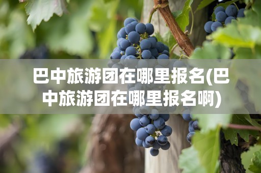 巴中旅游团在哪里报名(巴中旅游团在哪里报名啊)