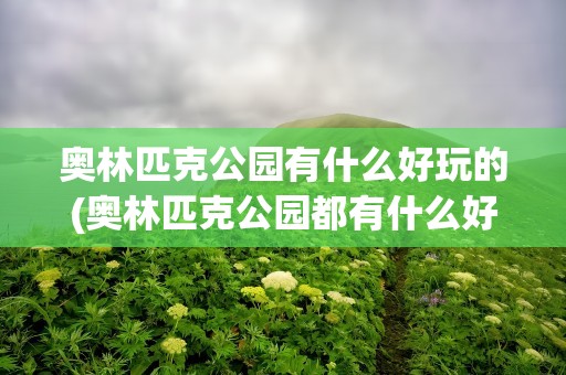 奥林匹克公园有什么好玩的(奥林匹克公园都有什么好玩的)