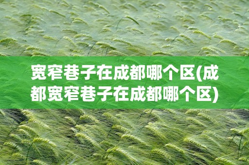 宽窄巷子在成都哪个区(成都宽窄巷子在成都哪个区)