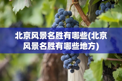 北京风景名胜有哪些(北京风景名胜有哪些地方)