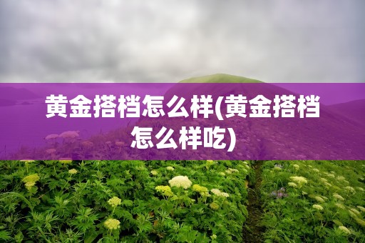 黄金搭档怎么样(黄金搭档怎么样吃)