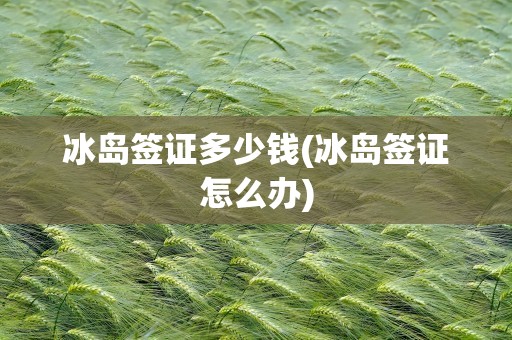 冰岛签证多少钱(冰岛签证怎么办)