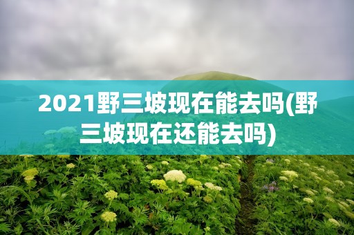 2021野三坡现在能去吗(野三坡现在还能去吗)