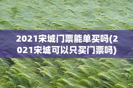 2021宋城门票能单买吗(2021宋城可以只买门票吗)