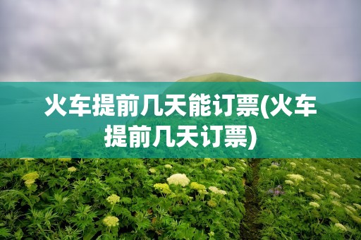 火车提前几天能订票(火车提前几天订票)
