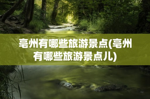 亳州有哪些旅游景点(亳州有哪些旅游景点儿)