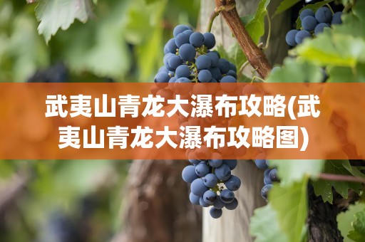 武夷山青龙大瀑布攻略(武夷山青龙大瀑布攻略图)