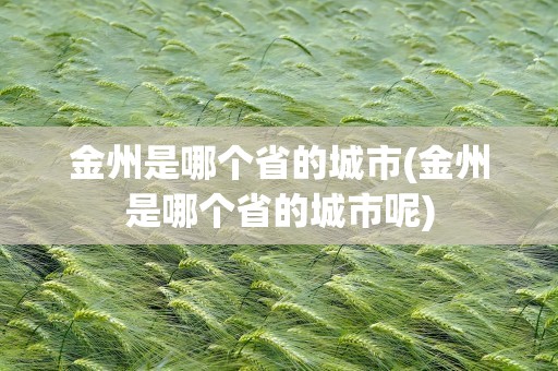 金州是哪个省的城市(金州是哪个省的城市呢)