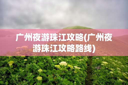广州夜游珠江攻略(广州夜游珠江攻略路线)