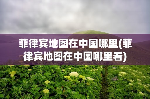 菲律宾地图在中国哪里(菲律宾地图在中国哪里看)