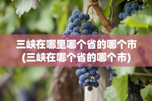 三峡在哪里哪个省的哪个市(三峡在哪个省的哪个市)