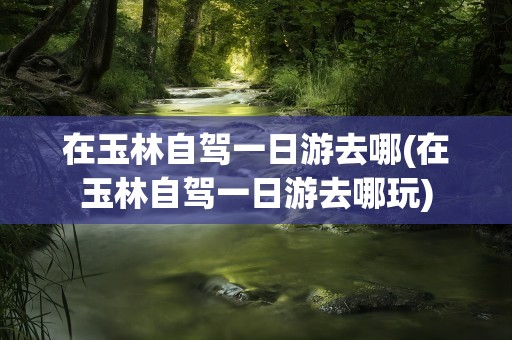 在玉林自驾一日游去哪(在玉林自驾一日游去哪玩)