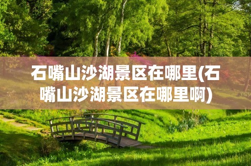 石嘴山沙湖景区在哪里(石嘴山沙湖景区在哪里啊)