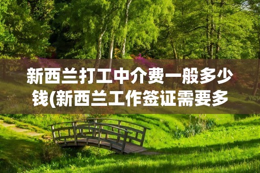 新西兰打工中介费一般多少钱(新西兰工作签证需要多少钱)