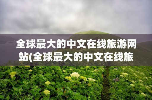 全球最大的中文在线旅游网站(全球最大的中文在线旅游网站是)