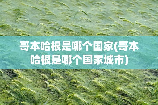 哥本哈根是哪个国家(哥本哈根是哪个国家城市)