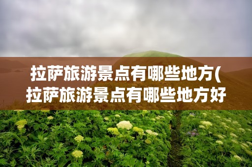 拉萨旅游景点有哪些地方(拉萨旅游景点有哪些地方好玩)