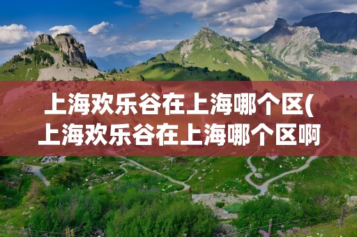上海欢乐谷在上海哪个区(上海欢乐谷在上海哪个区啊)