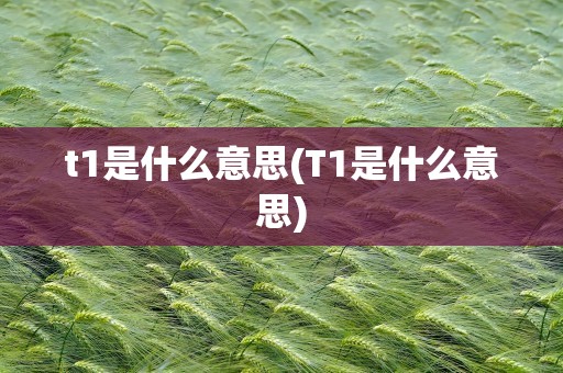t1是什么意思(T1是什么意思)
