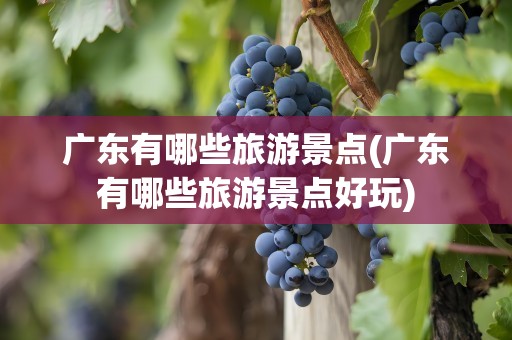 广东有哪些旅游景点(广东有哪些旅游景点好玩)