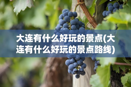 大连有什么好玩的景点(大连有什么好玩的景点路线)