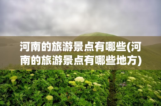 河南的旅游景点有哪些(河南的旅游景点有哪些地方)