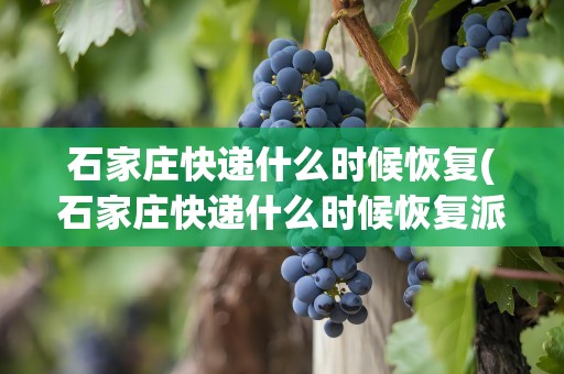 石家庄快递什么时候恢复(石家庄快递什么时候恢复派送)