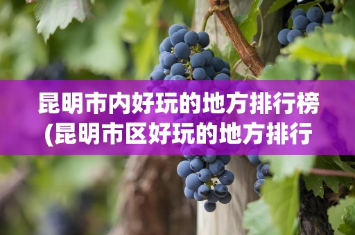 昆明市内好玩的地方排行榜(昆明市区好玩的地方排行榜)