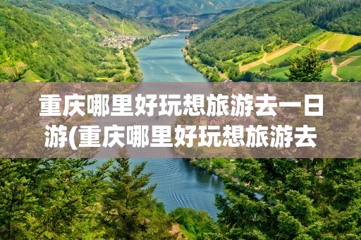 重庆哪里好玩想旅游去一日游(重庆哪里好玩想旅游去一日游的地方)