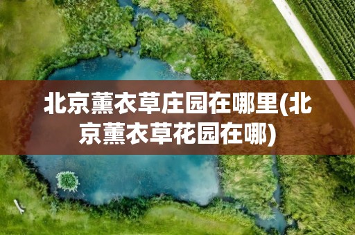 北京薰衣草庄园在哪里(北京薰衣草花园在哪)