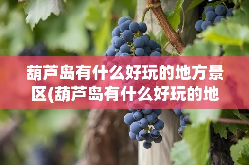 葫芦岛有什么好玩的地方景区(葫芦岛有什么好玩的地方景区吗)