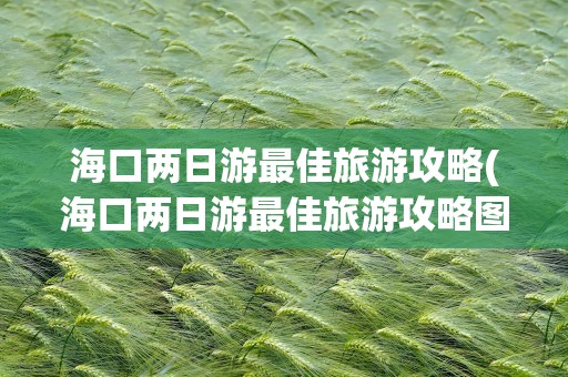 海口两日游最佳旅游攻略(海口两日游最佳旅游攻略图)