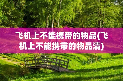 飞机上不能携带的物品(飞机上不能携带的物品清)