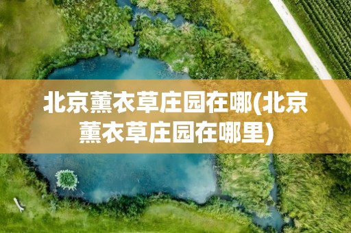 北京薰衣草庄园在哪(北京薰衣草庄园在哪里)